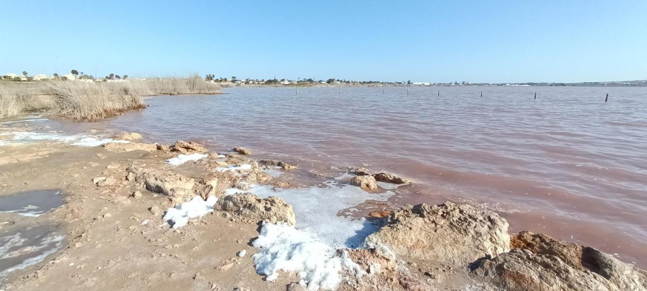 Torre La Mata Apartamento المظهر الخارجي الصورة